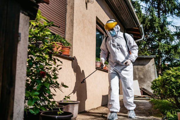 Best Pest Prevention Services  in Midlothian, TX