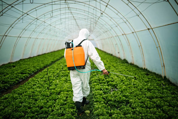 Best Pest Control Near Me  in Midlothian, TX