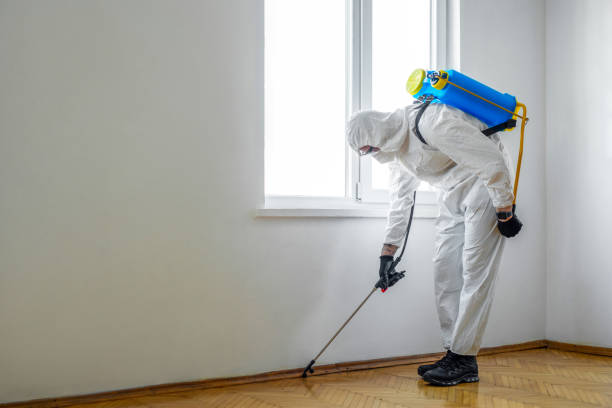 Best Insect Control  in Midlothian, TX