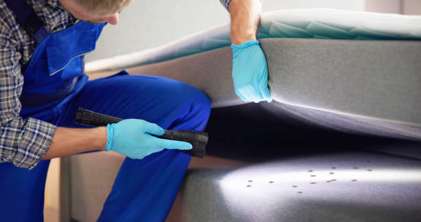 Best Ant Control Services  in Midlothian, TX