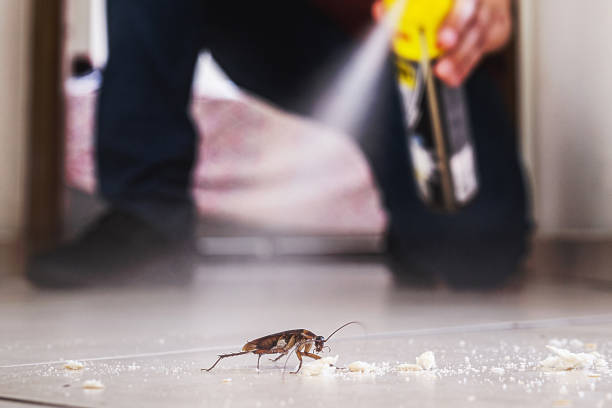 Best Affordable Pest Control Services  in Midlothian, TX