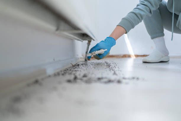 Best Exterminator Services  in Midlothian, TX